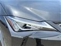 2021 Lexus UX