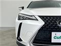 2019 Lexus UX