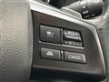 2013 Subaru Subaru Others