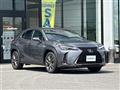 2019 Lexus UX