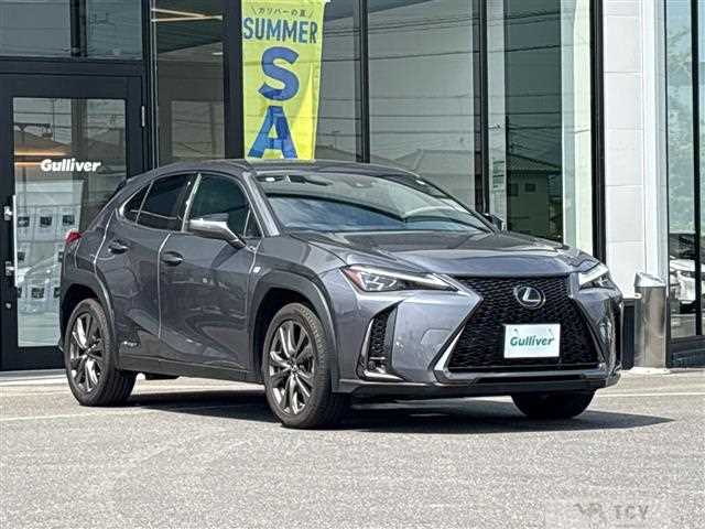 2019 Lexus UX