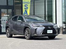 2019 Lexus UX