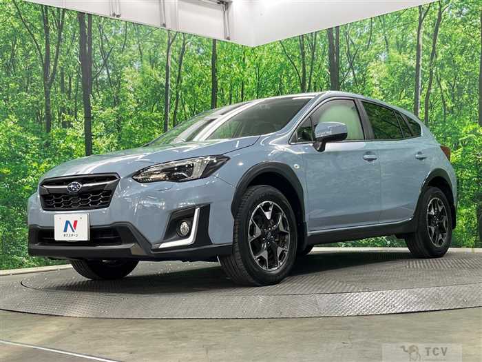 2019 Subaru Subaru Others