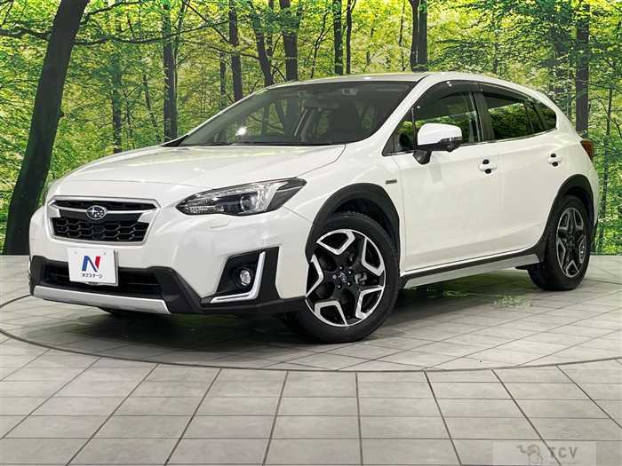 2019 Subaru Subaru Others