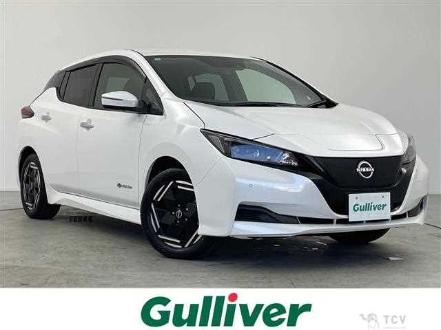 2025 Nissan Leaf