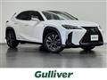 2020 Lexus UX