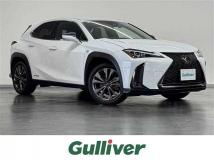 2020 Lexus UX