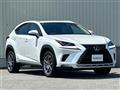 2019 Lexus NX