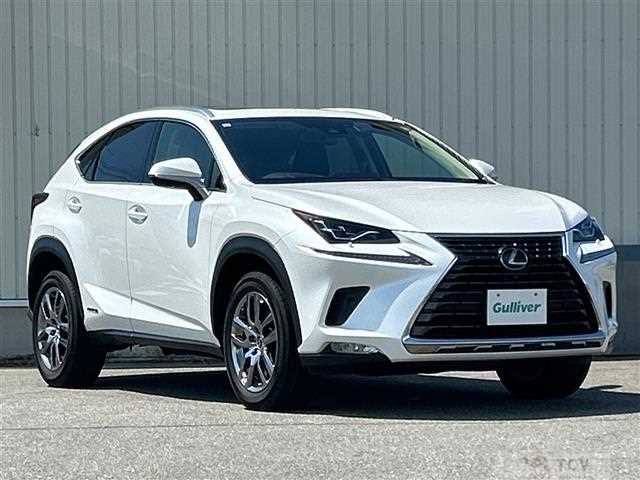 2019 Lexus NX