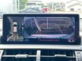 2019 Lexus NX