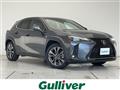 2022 Lexus UX