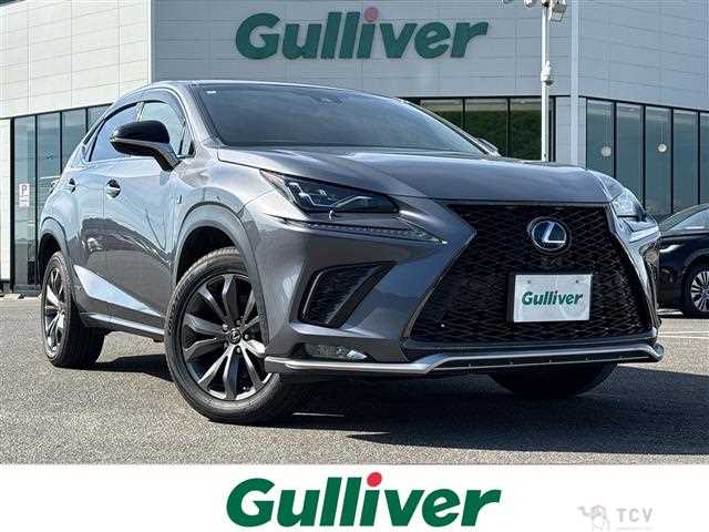 2018 Lexus NX