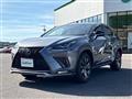 2018 Lexus NX