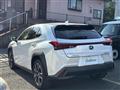 2021 Lexus UX