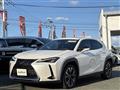 2021 Lexus UX