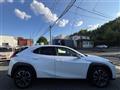 2021 Lexus UX