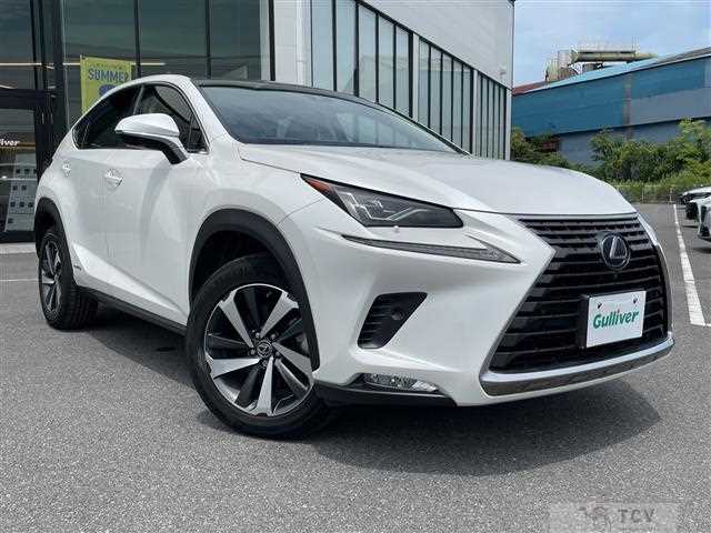 2018 Lexus NX