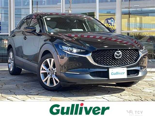 2021 Mazda CX-3