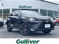 2020 Lexus NX