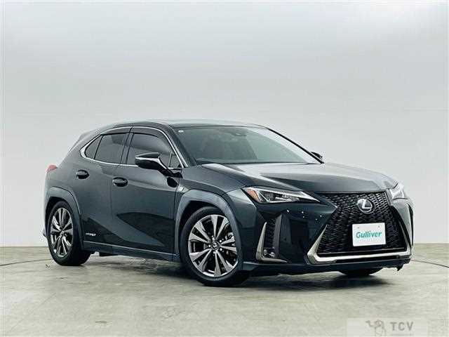 2019 Lexus UX