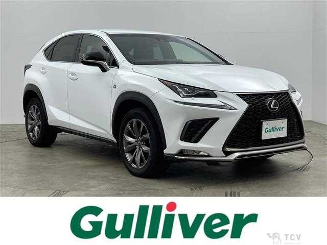 2017 Lexus NX