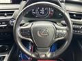 2019 Lexus UX