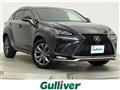 2019 Lexus NX