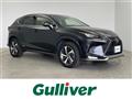 2020 Lexus NX
