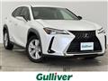2019 Lexus UX