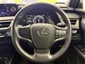 2019 Lexus UX