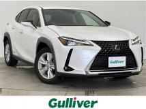 2019 Lexus UX