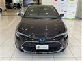 2019 Toyota Corolla Touring Wagon