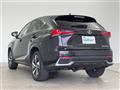 2021 Lexus NX