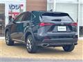 2019 Lexus NX