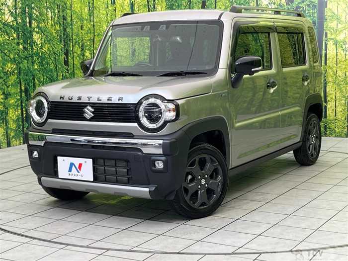 2024 Suzuki Hustler