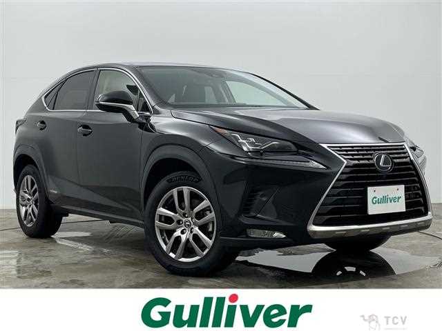 2020 Lexus NX