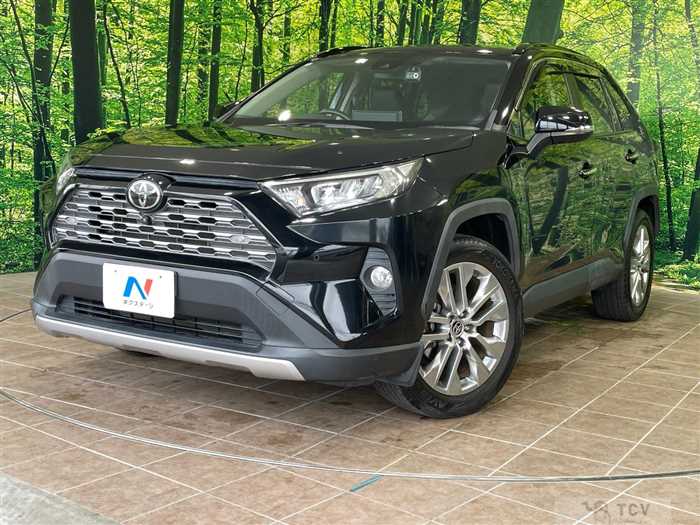 2020 Toyota RAV4