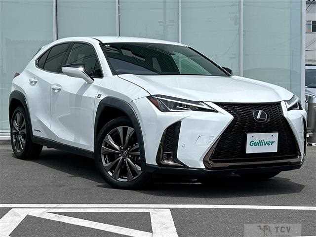 2021 Lexus UX