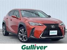 2018 Lexus UX