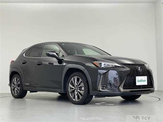 2019 Lexus UX