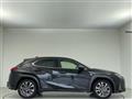 2019 Lexus UX