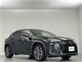 2019 Lexus UX