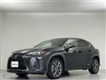 2019 Lexus UX