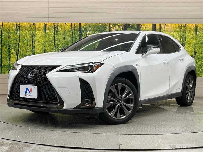 2019 Lexus Other