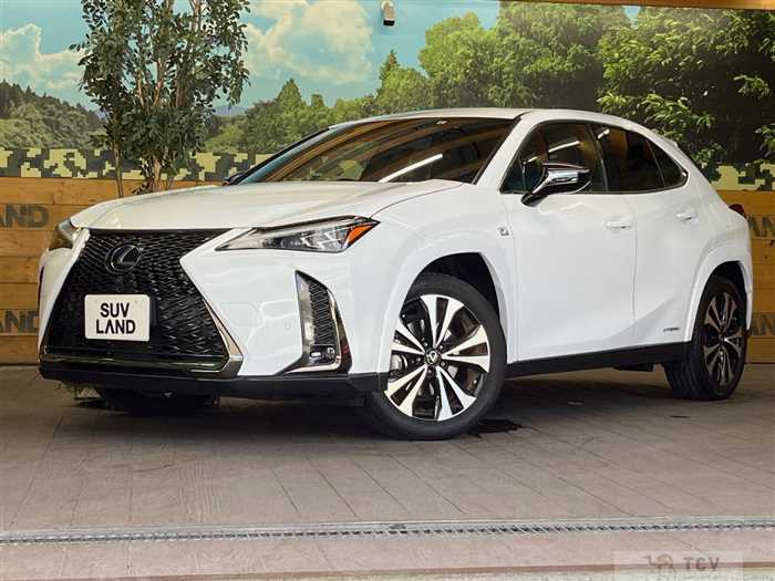 2021 Lexus Other