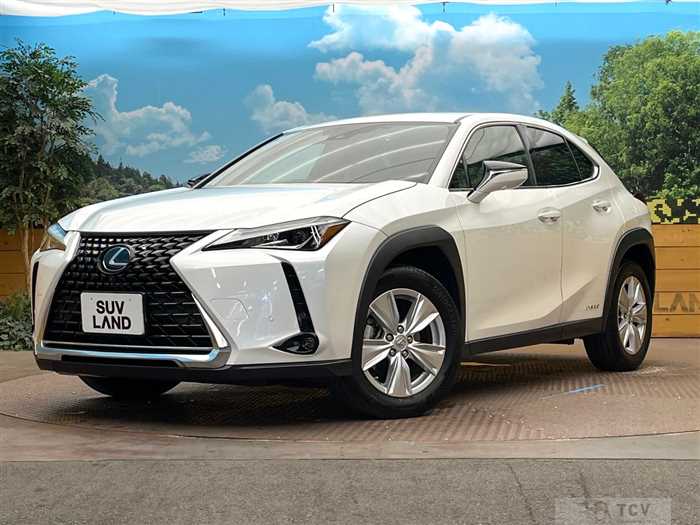 2022 Lexus Other