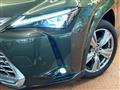 2023 Lexus Other
