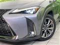 2021 Lexus Other