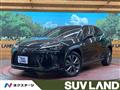 2019 Lexus Other