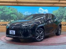 2019 Lexus Other